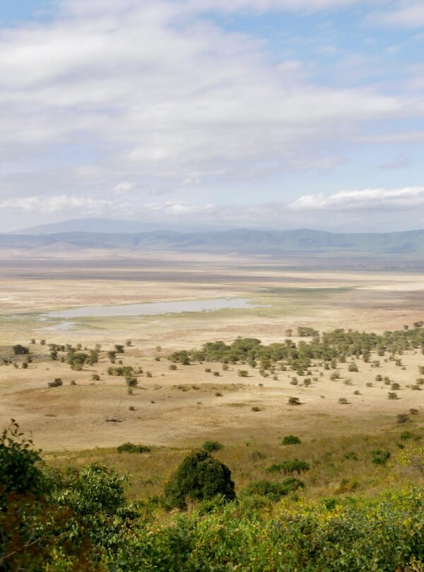 ngorongorocraterwildpacksafaris