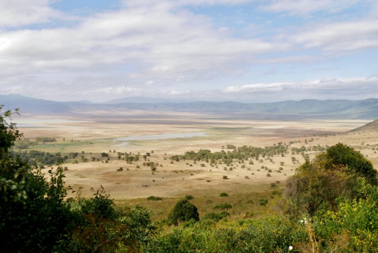 ngorongorocraterwildpacksafaris