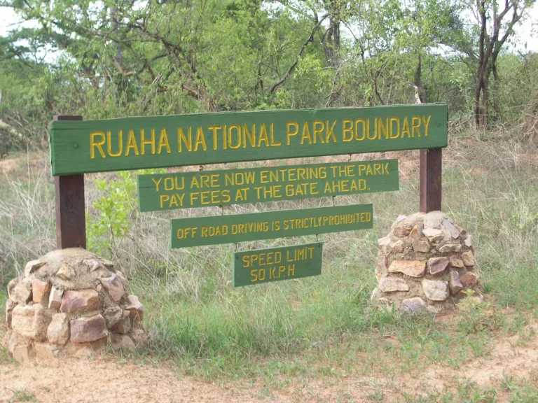 ruaha5